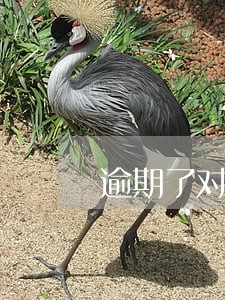 逾期了对分期买车有影响吗 逾期了对分期买车有影响吗