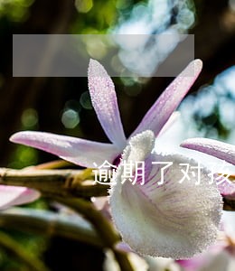 逾期了对孩子上学有没有影响 逾期了对孩子上学有没有影响