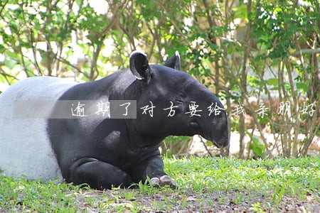 逾期了对方要给我亲朋好友打电话 逾期了对方要给我亲朋好友打电话
