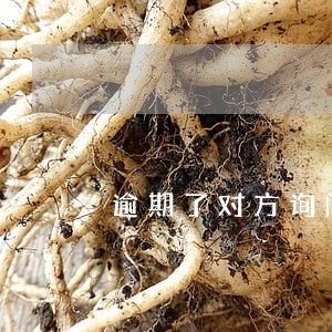 逾期了对方询问有无其他欠款