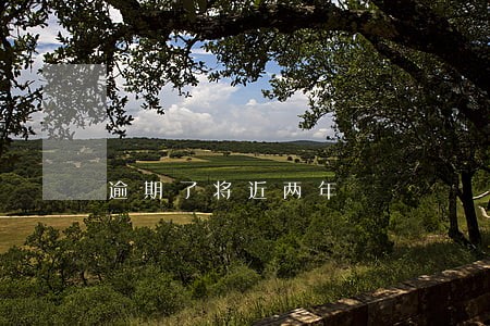 逾期了将近两年 逾期了将近两年