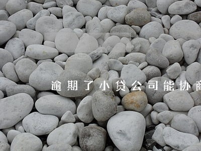 逾期了小贷公司能协商吗 逾期了小贷公司能协商吗