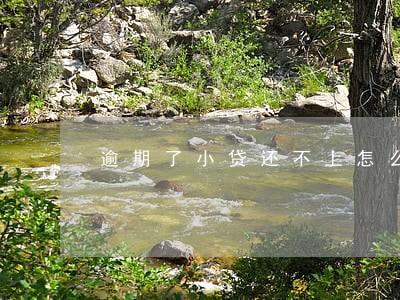 逾期了小贷还不上怎么办