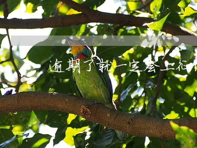 逾期了就一定会上征信吗 逾期了就一定会上征信吗