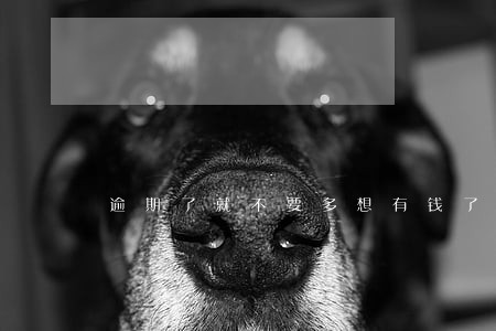 逾期了就不要多想有钱了再还