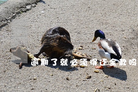 逾期了就必须得还全款吗 逾期了就必须得还全款吗