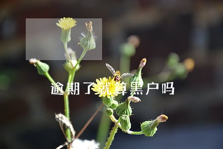 逾期了就算黑户吗 逾期了就算黑户吗