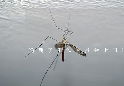 逾期了工作人员会上门吗 逾期了工作人员会上门吗