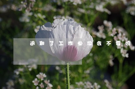 逾期了工作单位会不要吗 逾期了工作单位会不要吗
