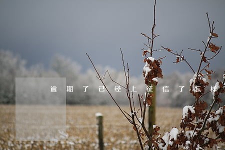 逾期了已经上征信了怎样能消除 逾期了已经上征信了怎样能消除