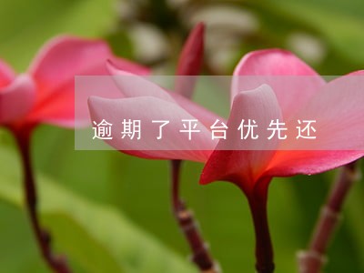 逾期了平台优先还 逾期了平台优先还