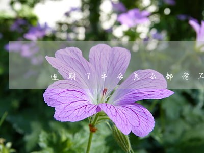 逾期了平台怎么都借不了呢 逾期了平台怎么都借不了呢