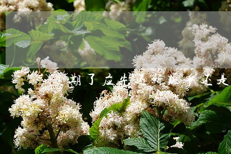 逾期了应先还新账单还是旧账单好 逾期了应先还新账单还是旧账单好