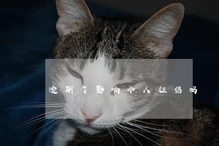 逾期了影响个人征信吗 逾期了影响个人征信吗