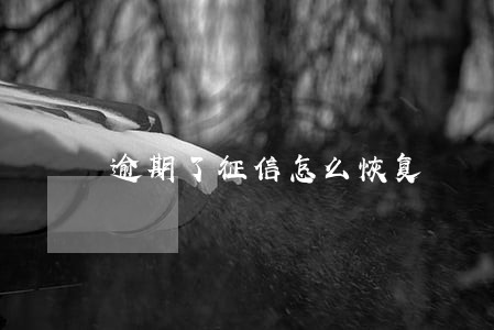 逾期了征信怎么恢复 逾期了征信怎么恢复