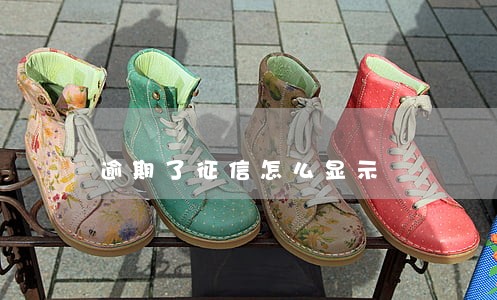 逾期了征信怎么显示 逾期了征信怎么显示