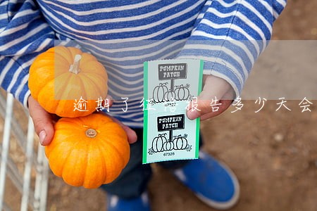 逾期了征信报告多少天会撤 逾期了征信报告多少天会撤
