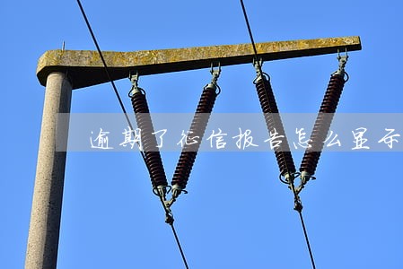 逾期了征信报告怎么显示 逾期了征信报告怎么显示