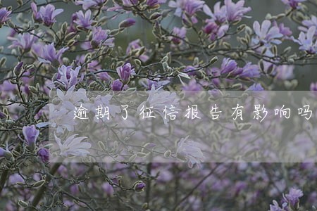 逾期了征信报告有影响吗 逾期了征信报告有影响吗