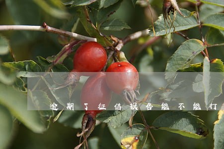 逾期了征信报告能不能打出来 逾期了征信报告能不能打出来