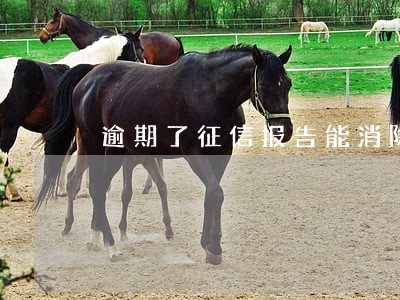 逾期了征信报告能消除吗 逾期了征信报告能消除吗