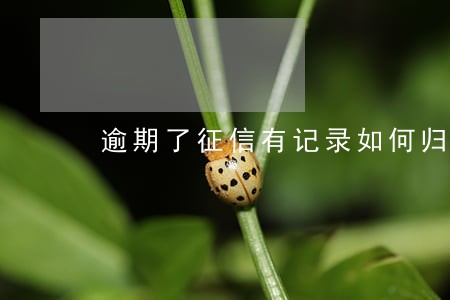 逾期了征信有记录如何归还欠款 逾期了征信有记录如何归还欠款
