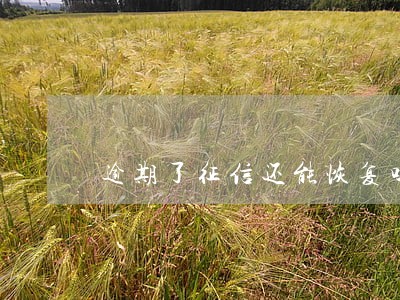 逾期了征信还能恢复吗 逾期了征信还能恢复吗