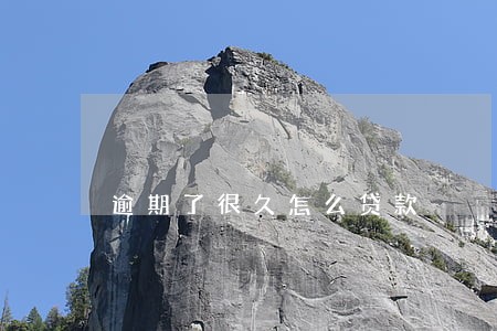 逾期了很久怎么贷款 逾期了很久怎么贷款