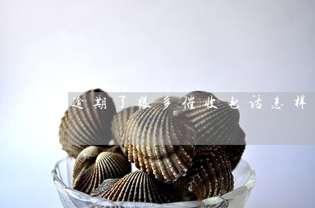 逾期了很多催收电话怎样辨别 逾期了很多催收电话怎样辨别