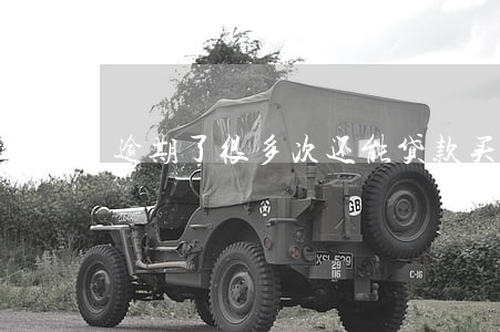 逾期了很多次还能贷款买房 逾期了很多次还能贷款买房