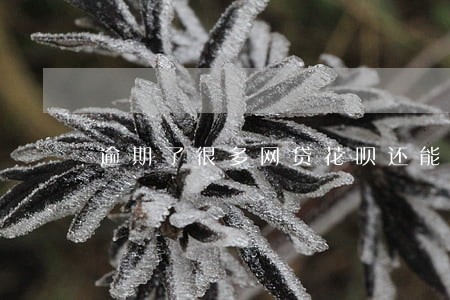 逾期了很多网贷花呗还能用 逾期了很多网贷花呗还能用