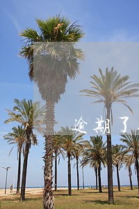 逾期了很小的金额会坐牢吗 逾期了很小的金额会坐牢吗