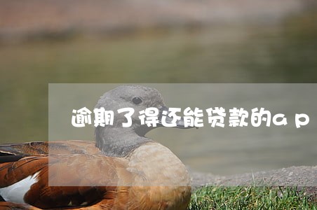 逾期了得还能贷款的app 逾期了得还能贷款的app