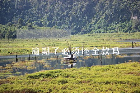 逾期了必须还全款吗