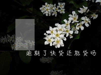 逾期了快贷还能贷吗