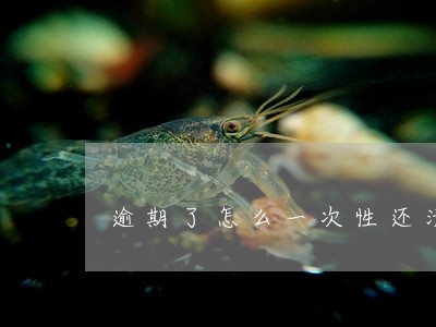 逾期了怎么一次性还清 逾期了怎么一次性还清
