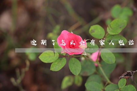 逾期了怎么会有家人电话 逾期了怎么会有家人电话