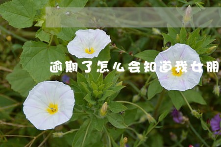 逾期了怎么会知道我女朋友电话 逾期了怎么会知道我女朋友电话