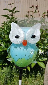 逾期了怎么借5000