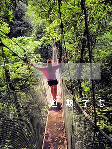 逾期了怎么办分期付款 逾期了怎么办分期付款