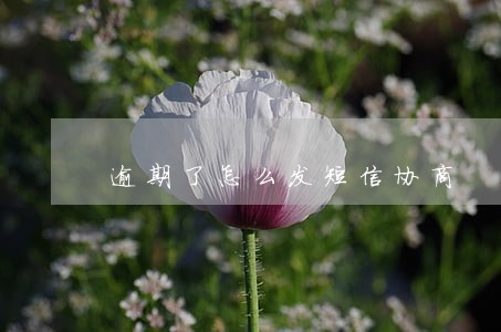 逾期了怎么发短信协商 逾期了怎么发短信协商
