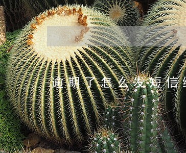 逾期了怎么发短信给你 逾期了怎么发短信给你