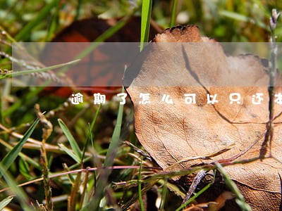 逾期了怎么可以只还本金 逾期了怎么可以只还本金