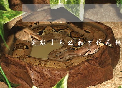 逾期了怎么和有钱花协商还本金 逾期了怎么和有钱花协商还本金