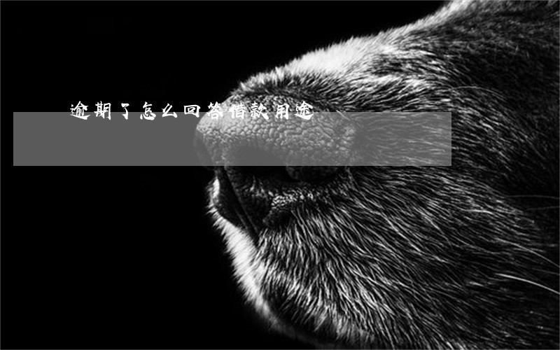 逾期了怎么回答借款用途 逾期了怎么回答借款用途