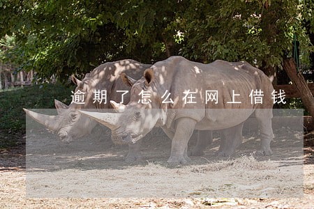 逾期了怎么在网上借钱 逾期了怎么在网上借钱