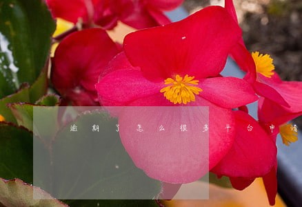 逾期了怎么很多平台申请不了 逾期了怎么很多平台申请不了