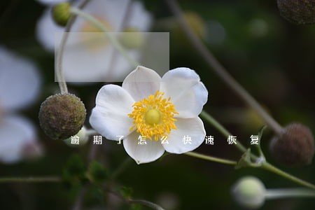 逾期了怎么快速恢复 逾期了怎么快速恢复
