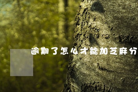 逾期了怎么才能加芝麻分 逾期了怎么才能加芝麻分