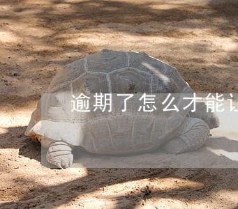逾期了怎么才能让自己信用度好